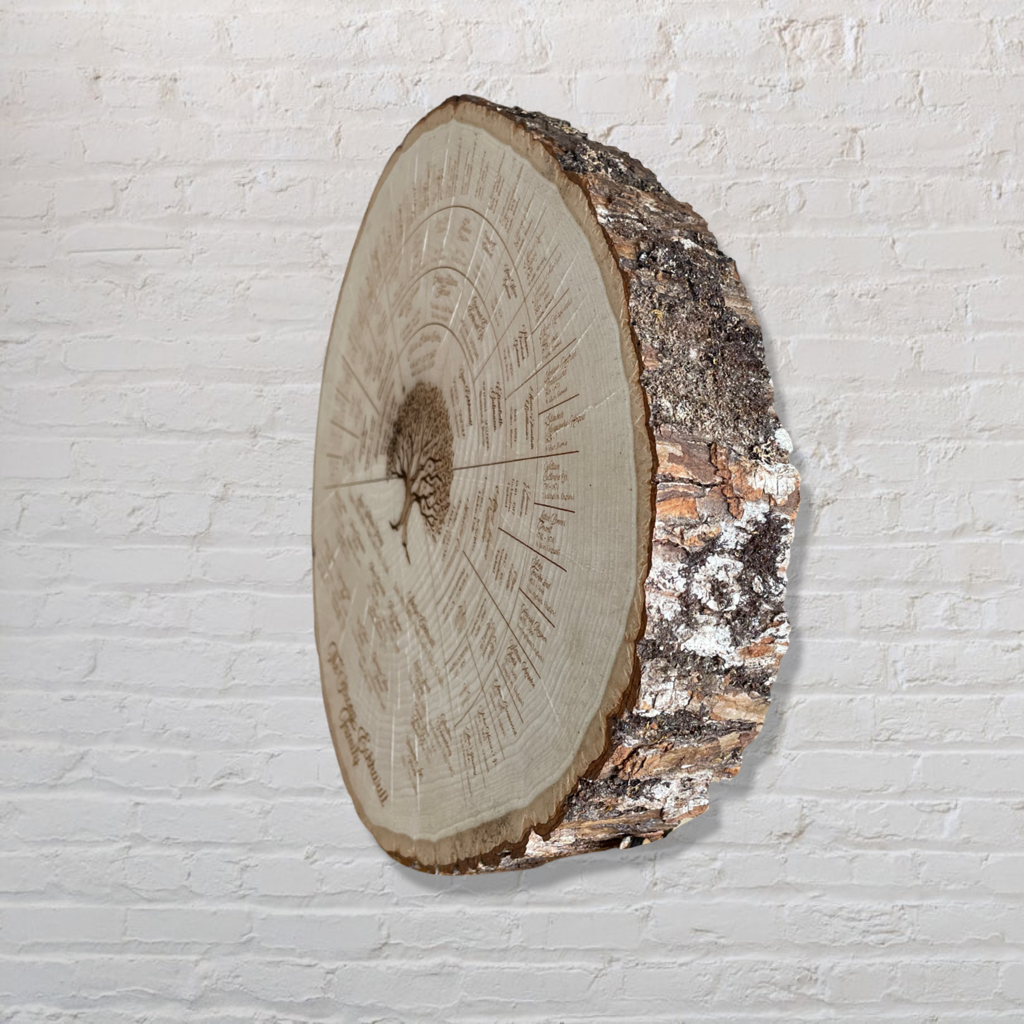 Family Tree on Wood Slice